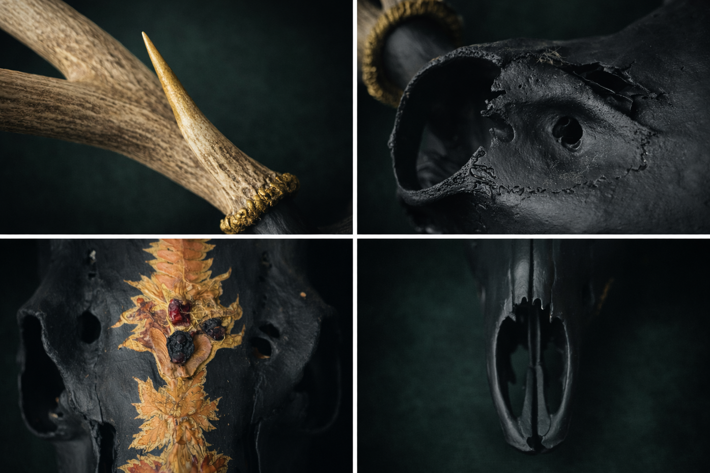 Hand Painted Buck Skull with natural elements