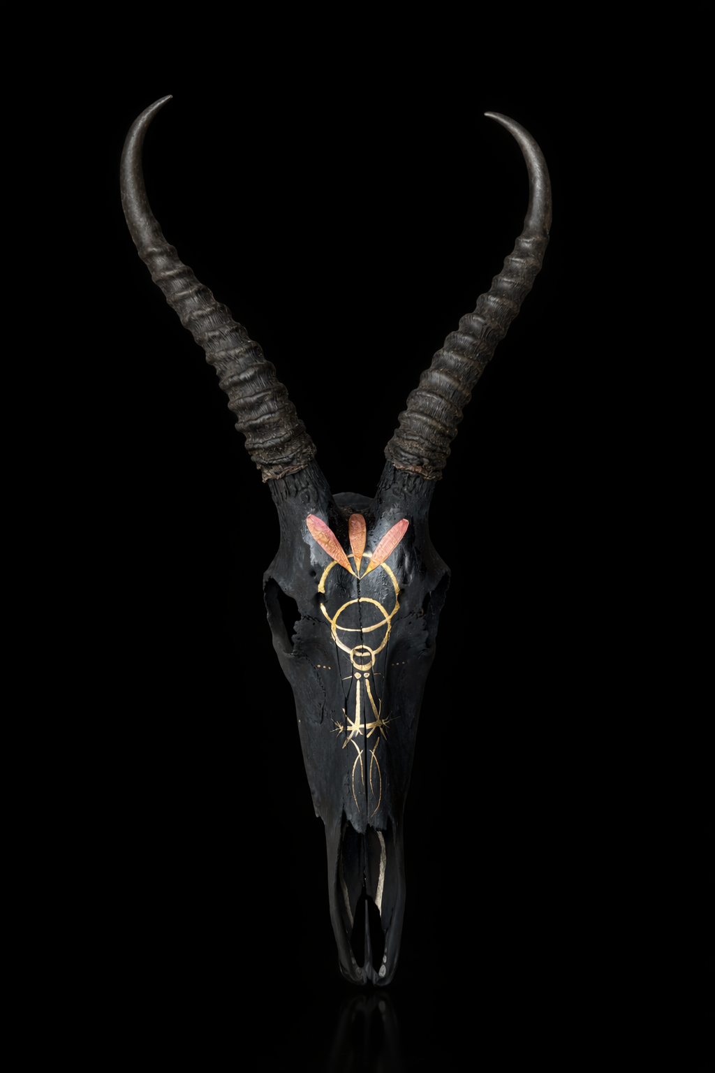 Hand Painted African Blesbok Skull