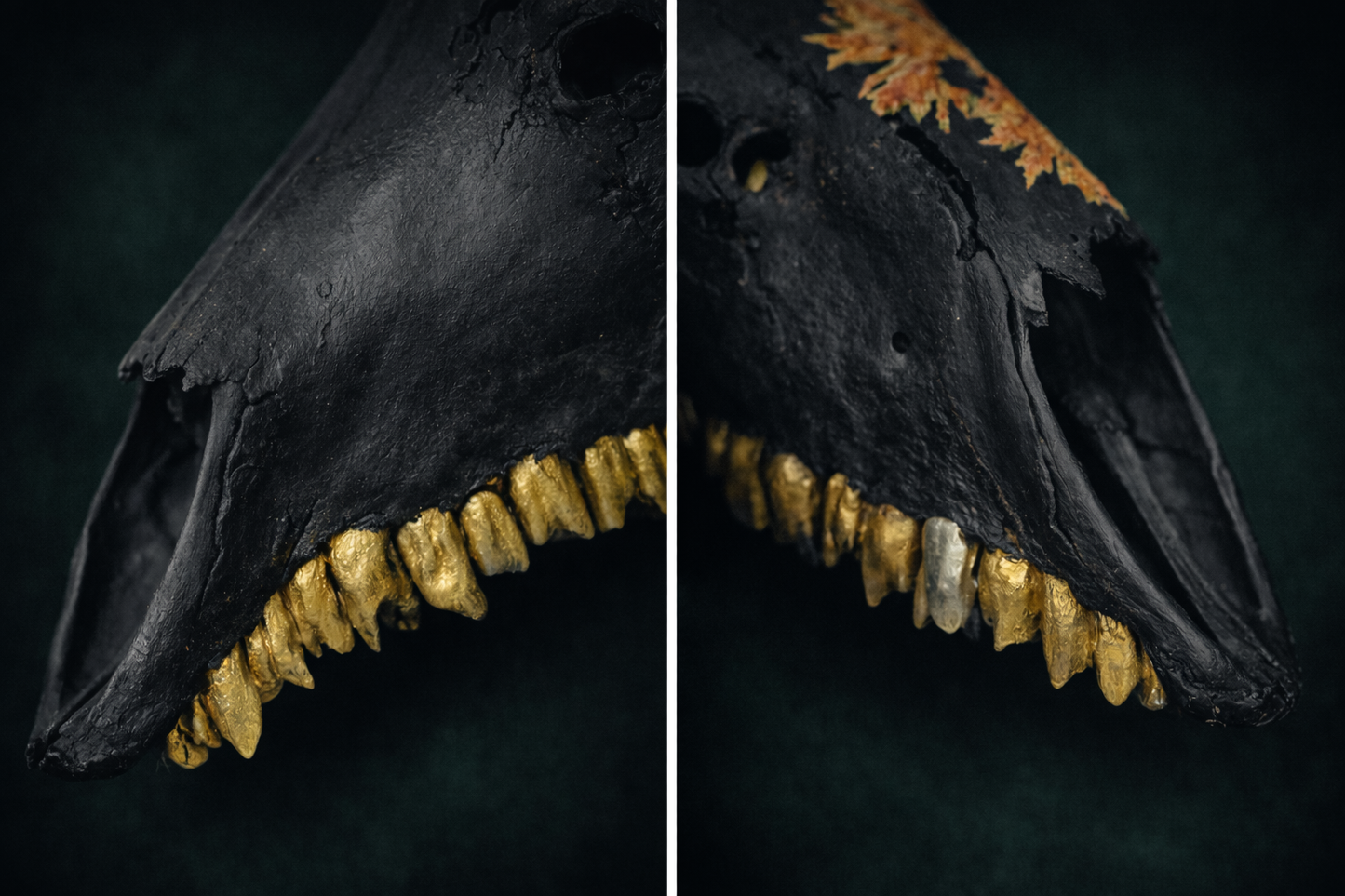 Hand Painted Buck Skull with natural elements