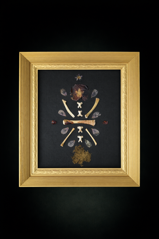 Flower, moss, and Bone